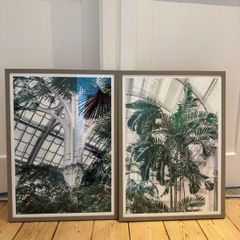 Framed Prints