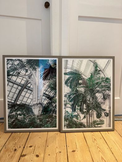 Framed Prints