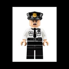 Lego SECURITY GUARD Minifigure Lego Batman Lego Minifigure