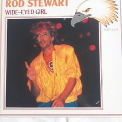 Rod Stewart 12" Vinyl