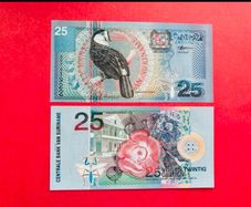 Suriname   5  Gulden. 2000. PICK   146 .  ( Uncirculated )