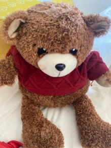 Max Mind Power Bear