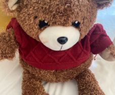 Max Mind Power Bear