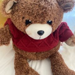 Max Mind Power Bear