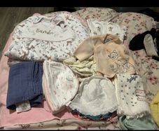 Large Bundle of baby girl clothes 0-3 -9-12 months