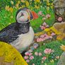 Puffin at Saltee Island'' | oil Painting | Framed Image 5