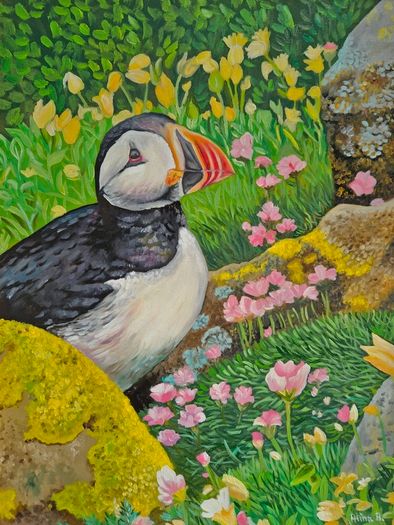 Puffin at Saltee Island'' | oil Painting | Framed