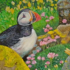 ,,Puffin at Saltee Island'' | oil Painting | Framed