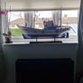 model  Trawler Image 4