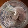 Band New: Disneyland California Fab Mickey Mouse Peace Sign Reusable Water / Drink Cup Image 2