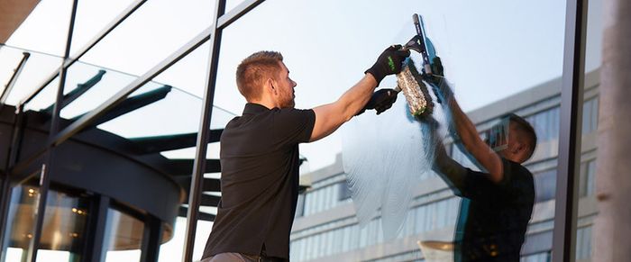 Window Cleaning Services