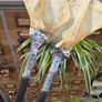 1 Soldered Witchy Odd Badger Scapula Bone Hair Pins Image 4
