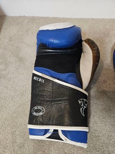 Boxing Gloves (sparing)