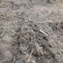 SOIL - Sub soil / Filler Image 3