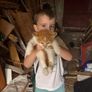 Kittens Image 2