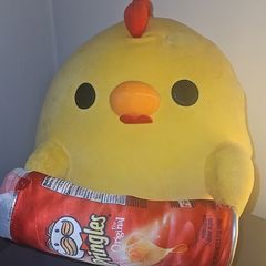 Zuru Snackles Dani the Chicken plush toy.
