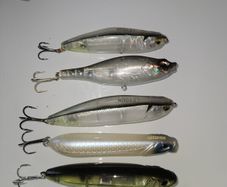 fishing