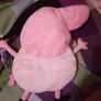 Peppa pig pyjamas case holder Image 4