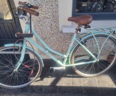 bike poleton needs fixing