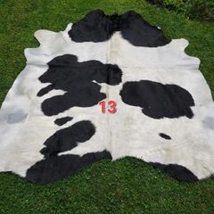 Cow's hide