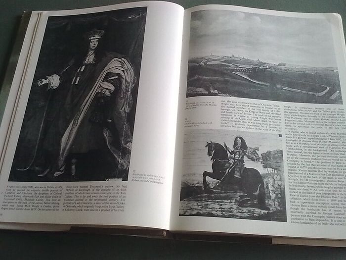 The Painters of Ireland c.1660-1920 Irish History Art