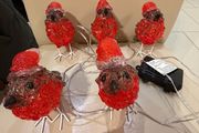 5 Outdoor acrylic robins battery operated