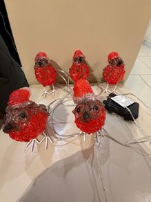 5 Outdoor acrylic robins battery operated