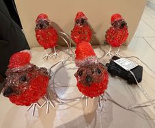 5 Outdoor acrylic robins battery operated