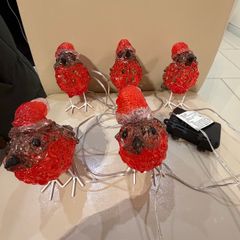 5 Outdoor acrylic robins battery operated