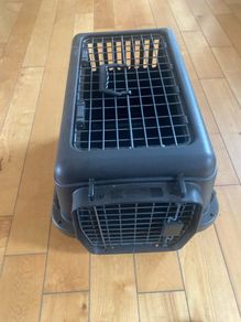 dog/puppy  carrier