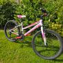 MBM District 24-inch girls' mountain bike Image 5
