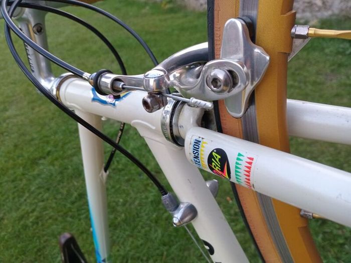 Pinarello Treviso Italia 56cm 10 sp Campy Record