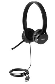 Lenovo 100 Usb Stereo Headset