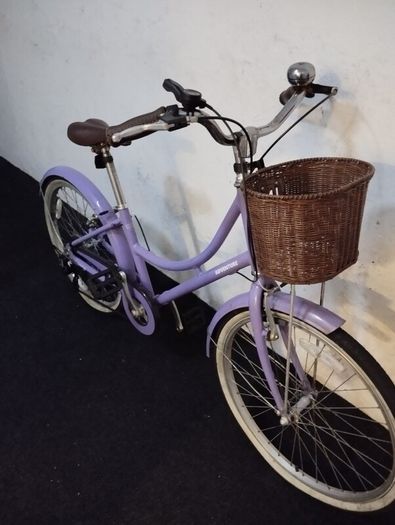 girls 24inch bike