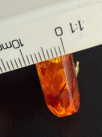 Amber pendant