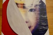 A tale for the time being.  Ruth Ozeki