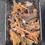 Aquarium Driftwood Size Nano Image 4