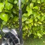 Golf Club Set Image 6