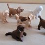 Playmobil dogs and cats Image 4