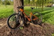 Trek Marlin 5 (M/L Frame)