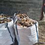 Timber Image 7