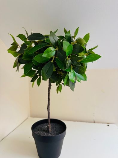 2x decoration tree