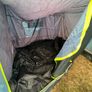 Camper Awning Image 8