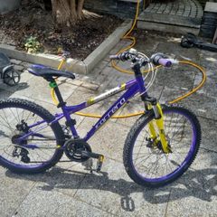 Carrera Luna Junior Mountain Bike