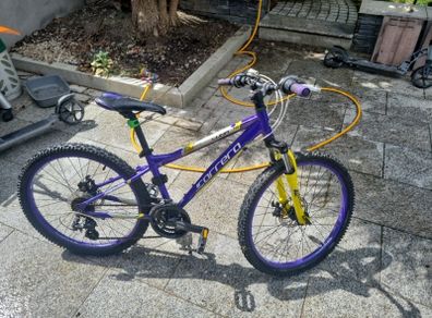 Carrera Luna Junior Mountain Bike