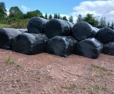 Silage bales