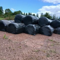 Silage bales