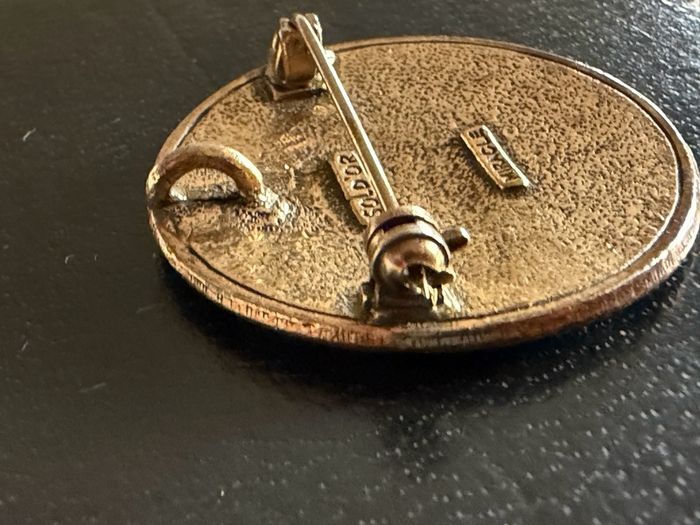 Miracle brooch/pendant