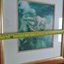 Two Beautifully framed prints Image 4