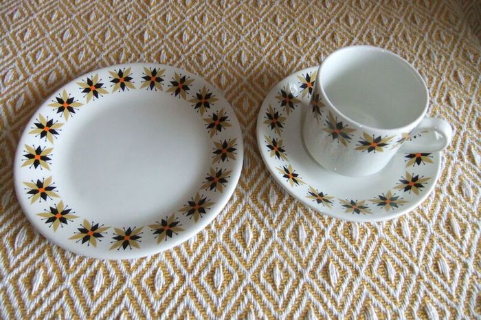 Arklow Pottery Star Dust Pattern 21 Piece Coffee Set